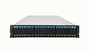 NS7300